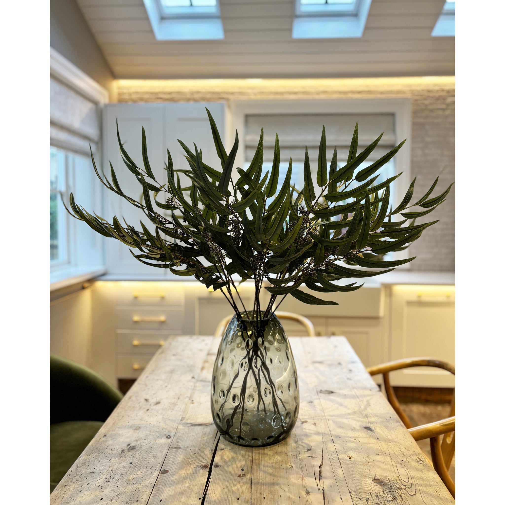 Eucalyptus Nicholii - Pack of 12